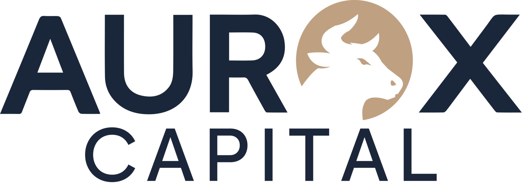 ИНВЕСТИЦИОННАЯ КОМПАНИЯ