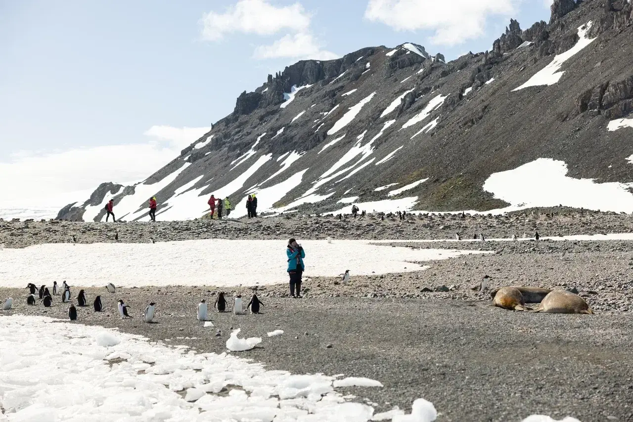 Visitors explore a remote Antarctic beach surrounded by rugged snow-covered mountains. Small groups of penguins stand along the rocky shoreline while two seals rest near the waters edge. Travelers in colorful expedition gear walk carefully through the lan