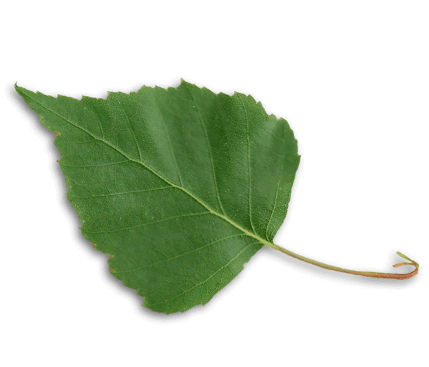 Шадринская минеральная вода