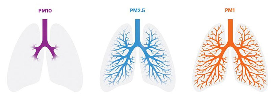 Pm 2.5 что это в воздухе