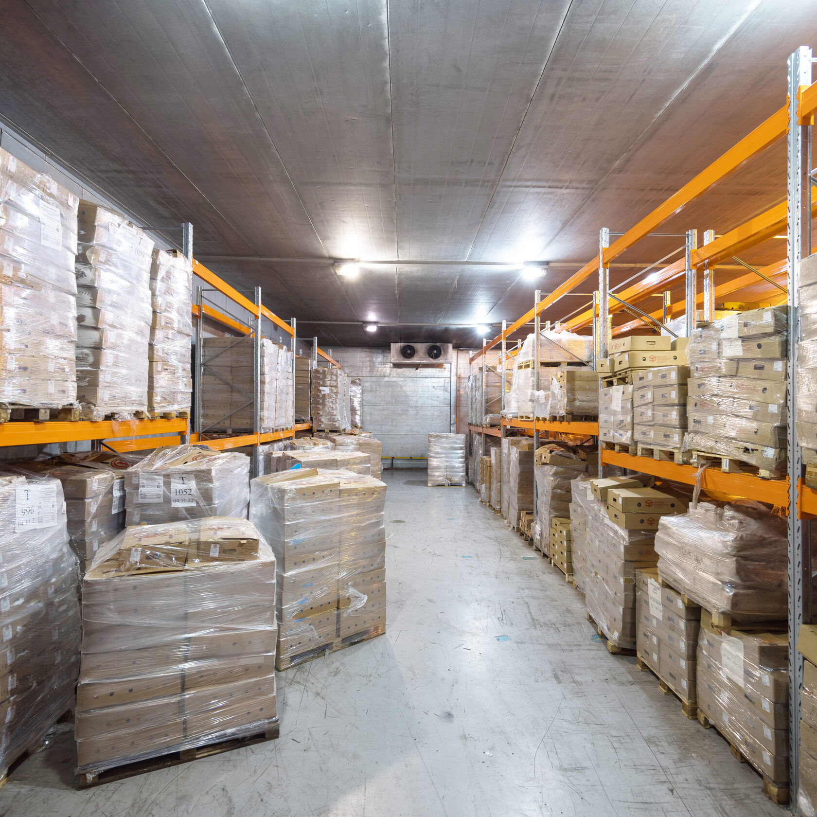 Морозильная камера –18°C, 420 м² — фото внутри