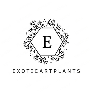 ExoticArtPlants