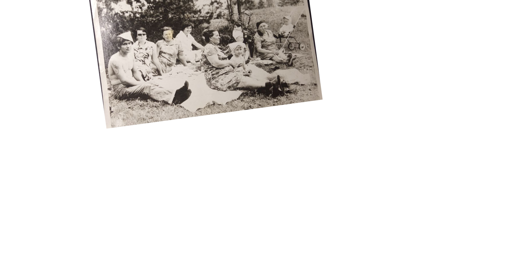 Nasonova.su — генеалогический квест