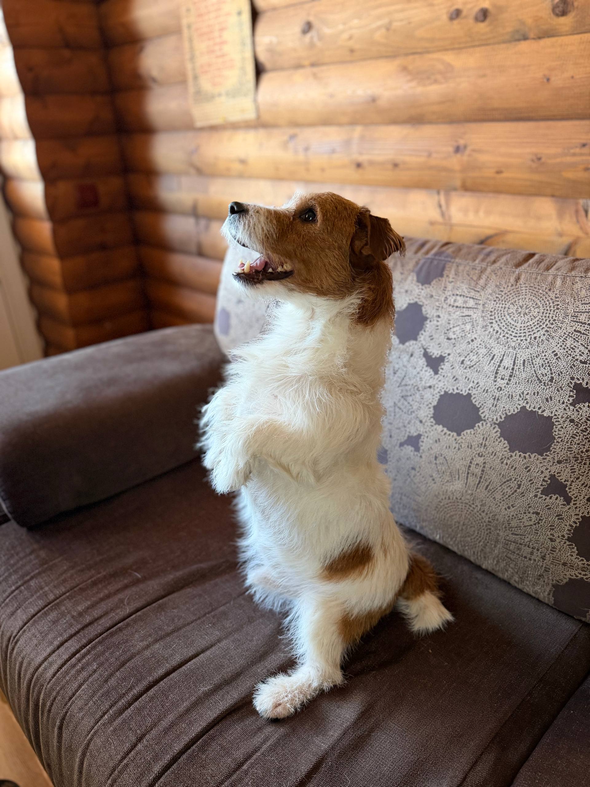 Общий зал фонда Святой князь Александр Невский