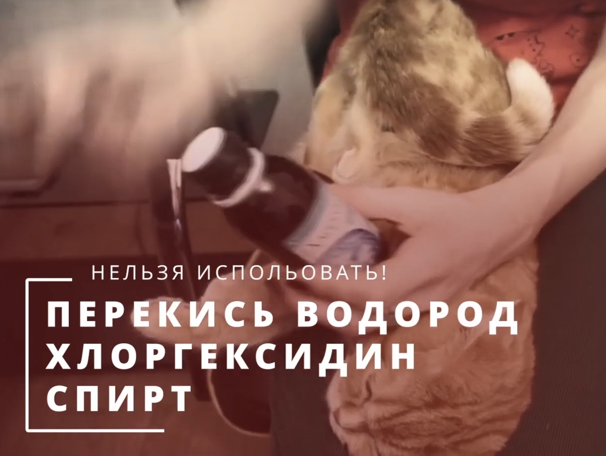 Неподходящие средства для чистки ушей кошек