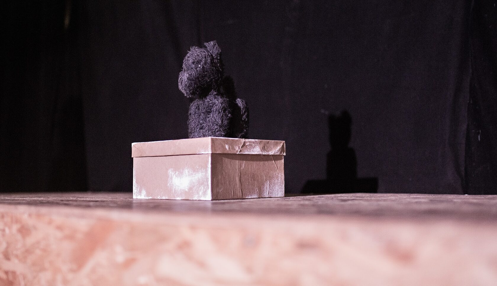 Спектакль Осенняя Соната