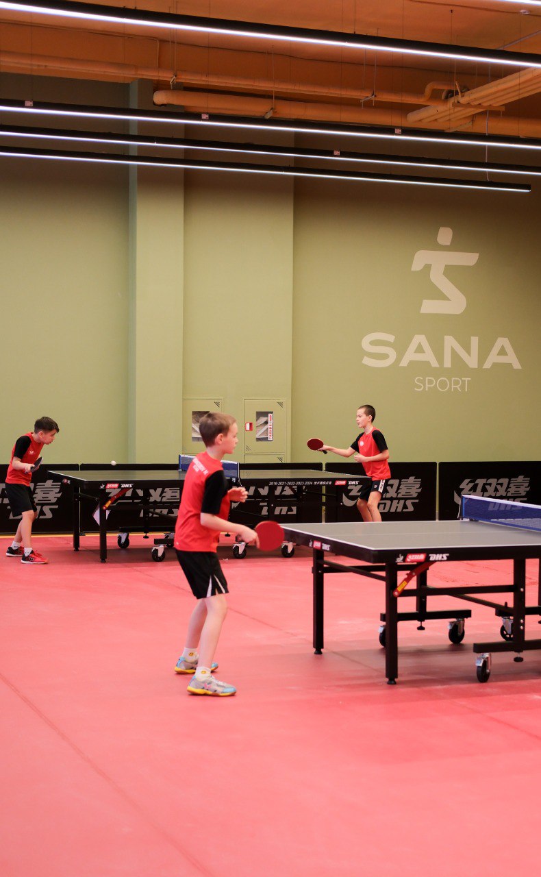 Настольный теннис