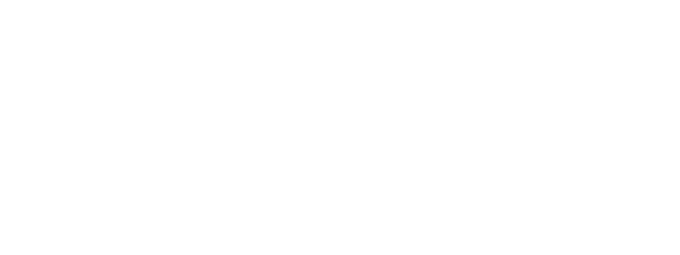 Невада Групп
