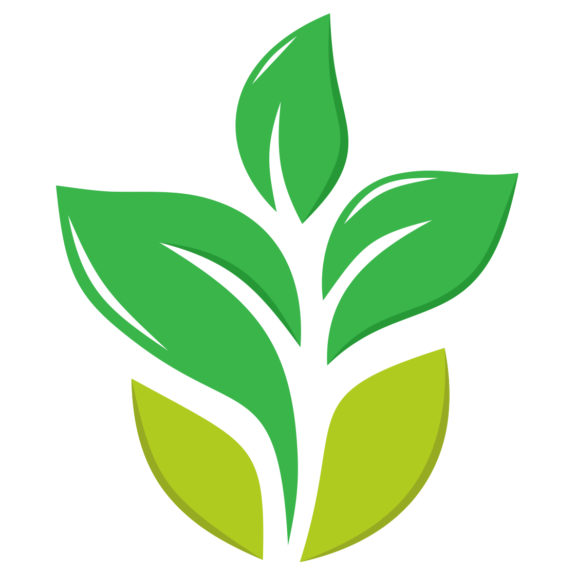 Купить саженцы в Орле