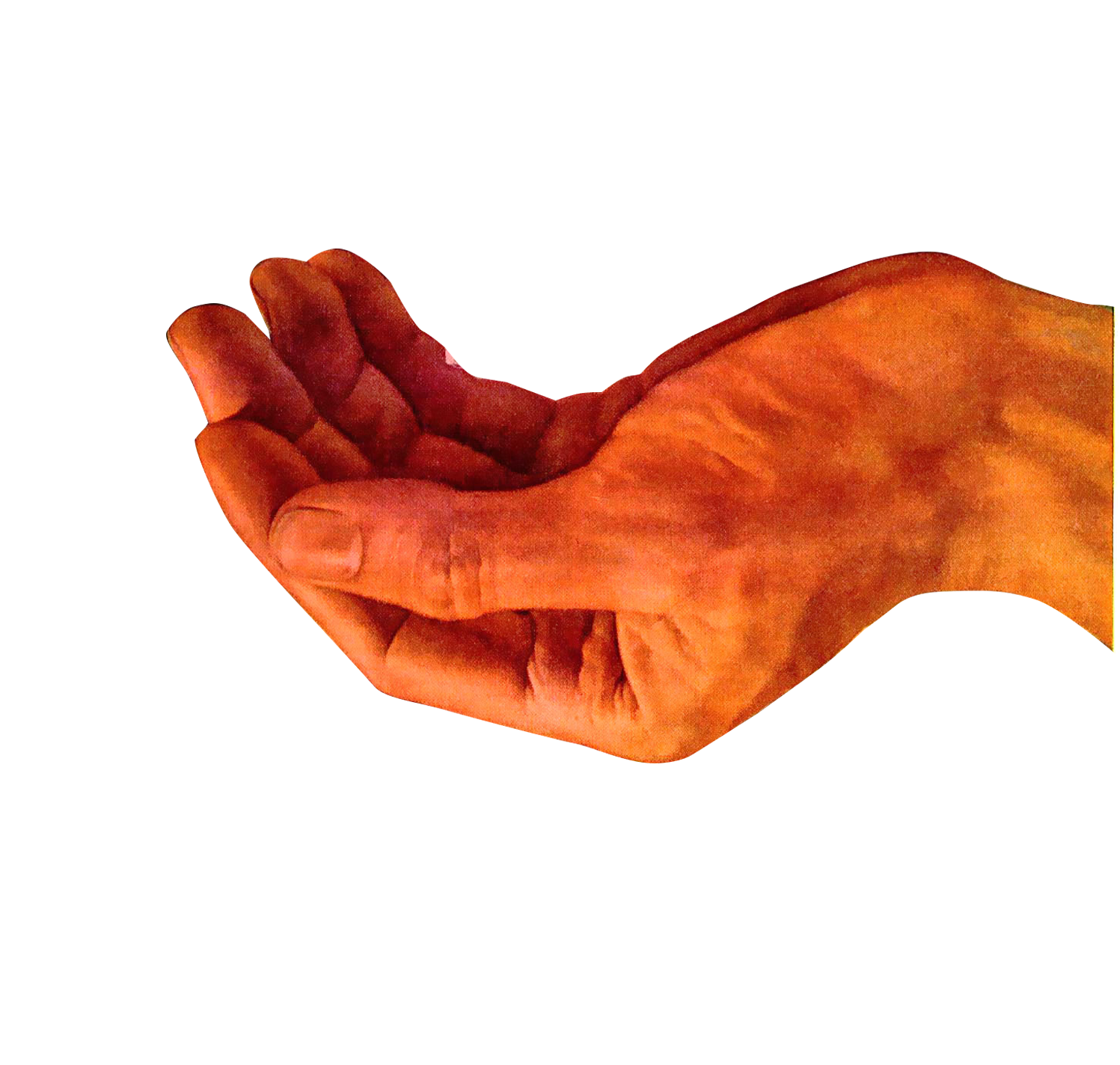 рука лодочка