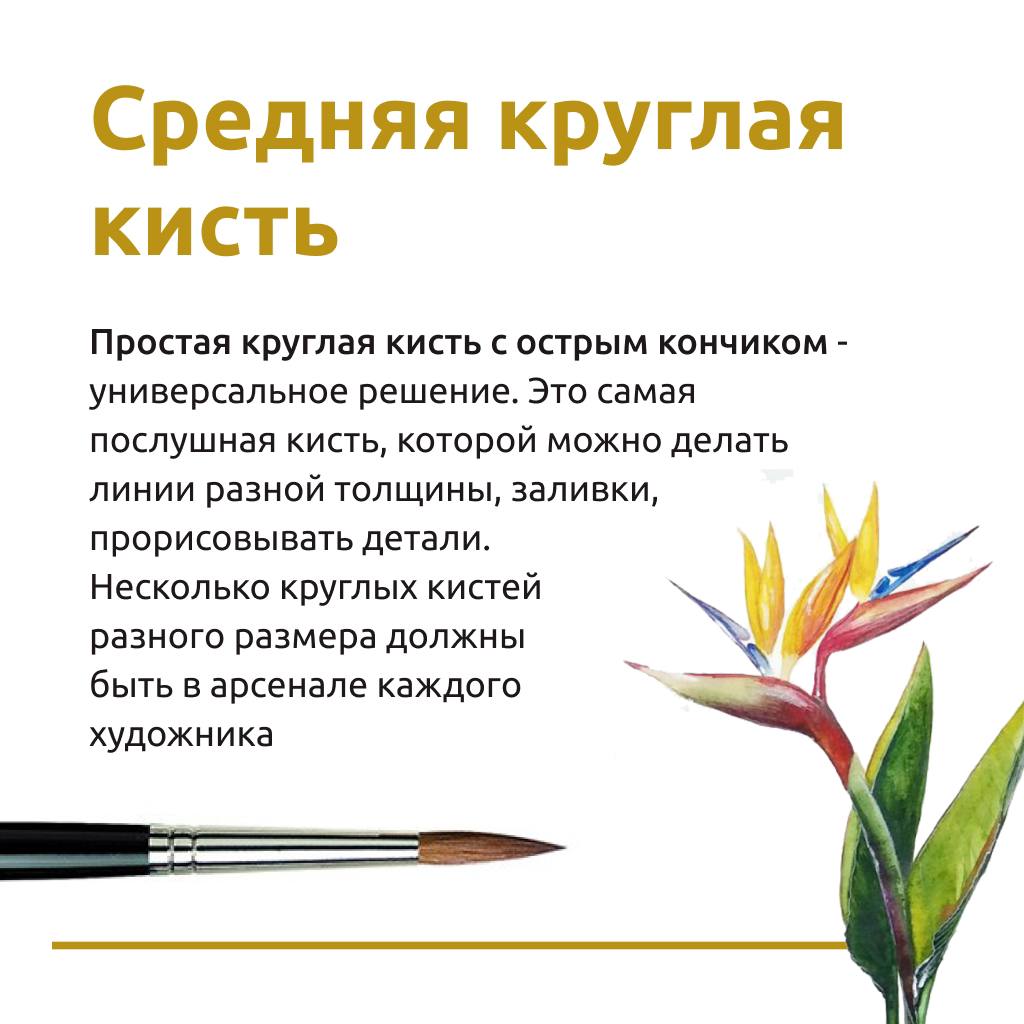 Самая популярная кисть для рисования с детьми