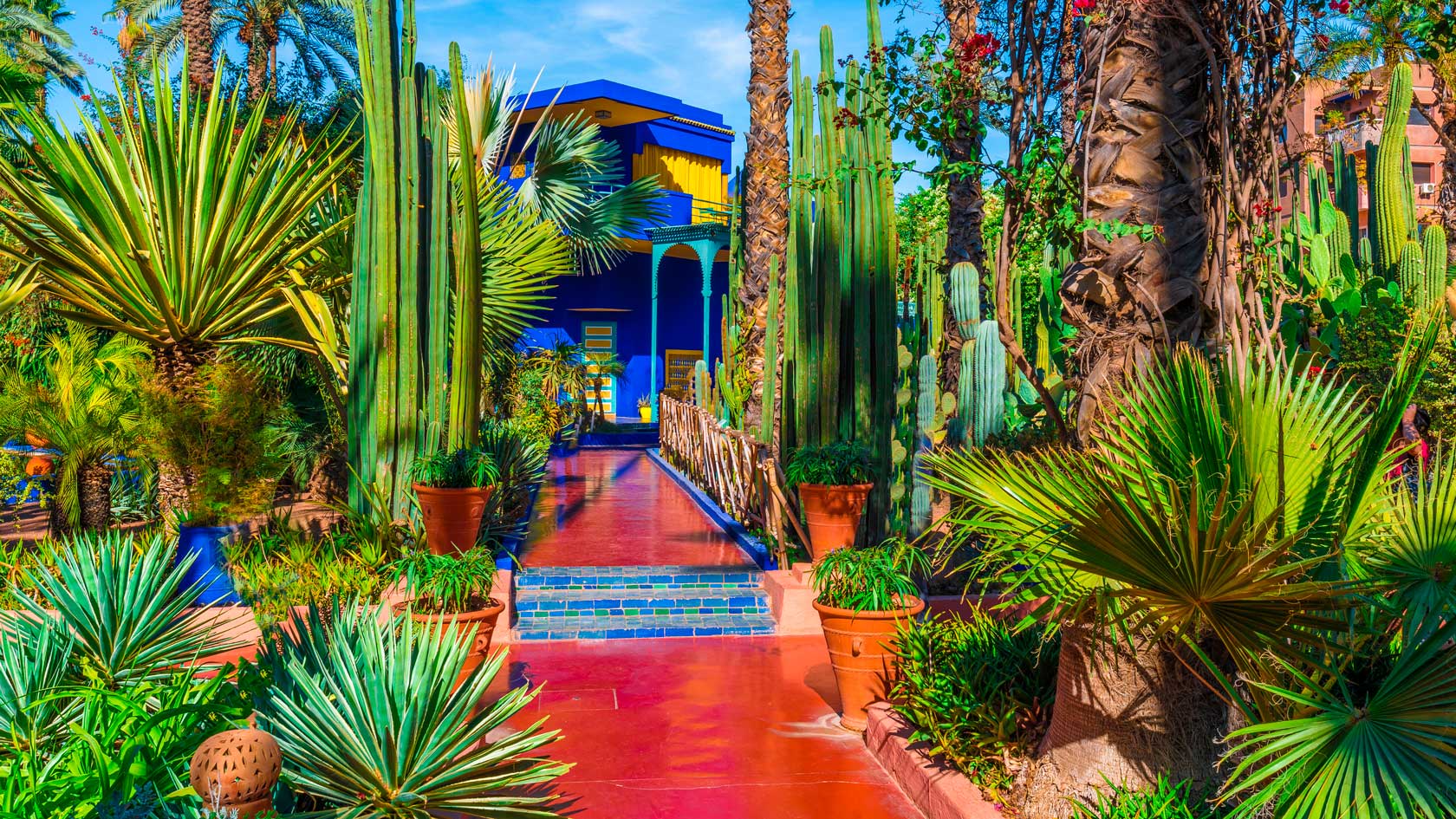 сад мажорель в марокко в городе марракеш