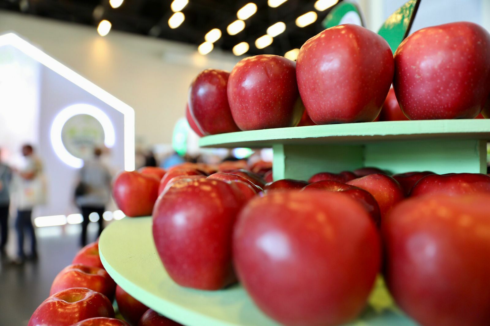 Вишня яблоко плодовая алк продукция. Про яблоко 2022 выставка. Партнеры выставки картинка. Pro yabloko 2023 выставка фото. Где найти яблоки.