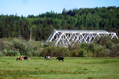 Бершеть мое село пермский