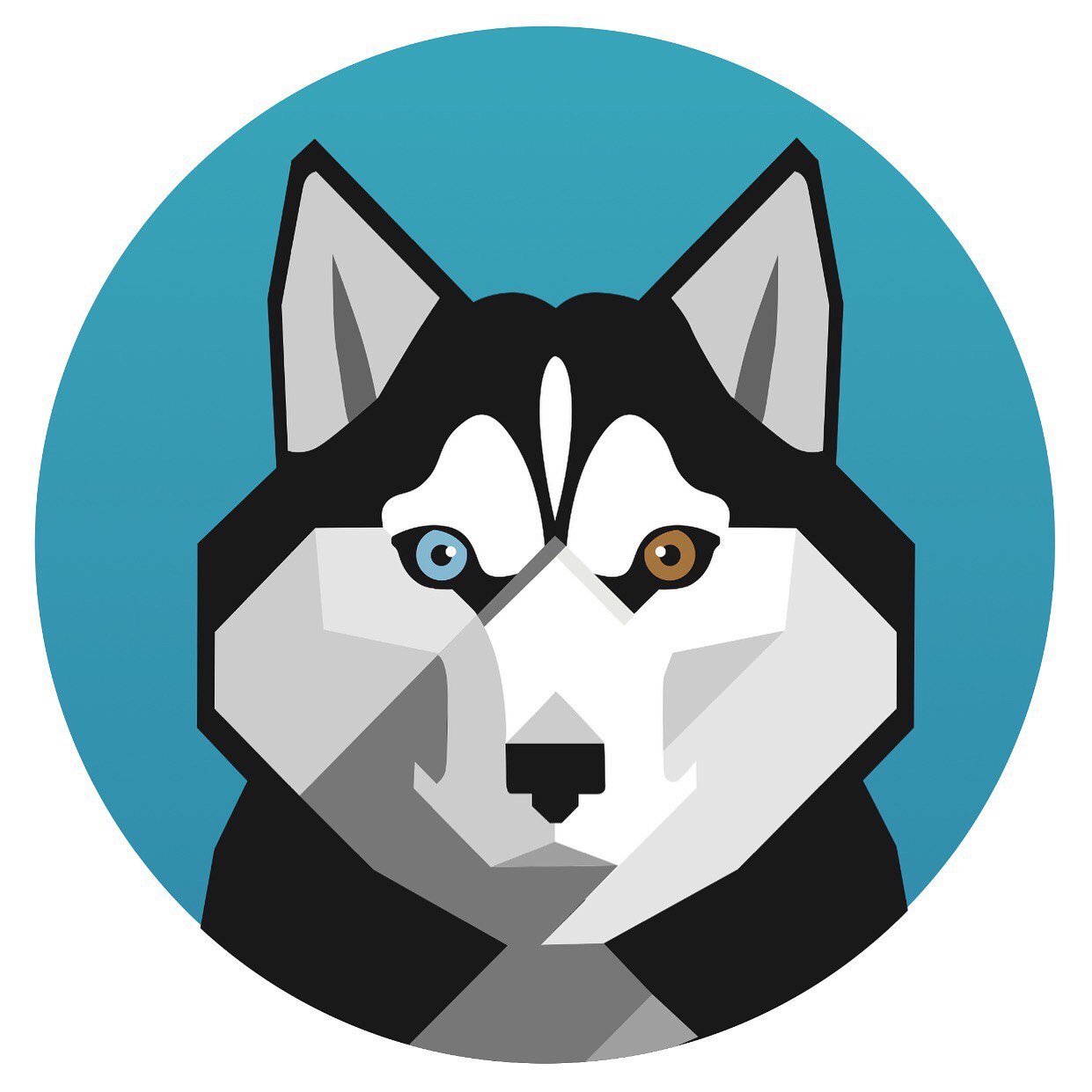 хаски help. хаски хелп. хаски хелп приют. хаски хелп. хаски хелп истра.