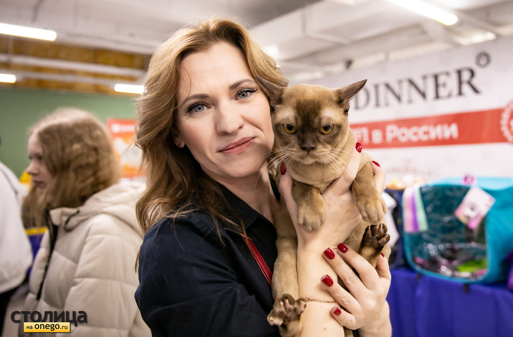 Бурманская кошка
