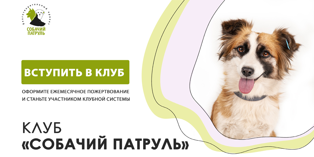 Клуб dogs