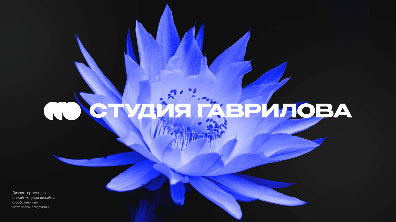 Обложка видео