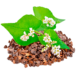 Нормы внесения Гумифулин и Органол для гречихи