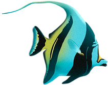 Партизанский маркетинг