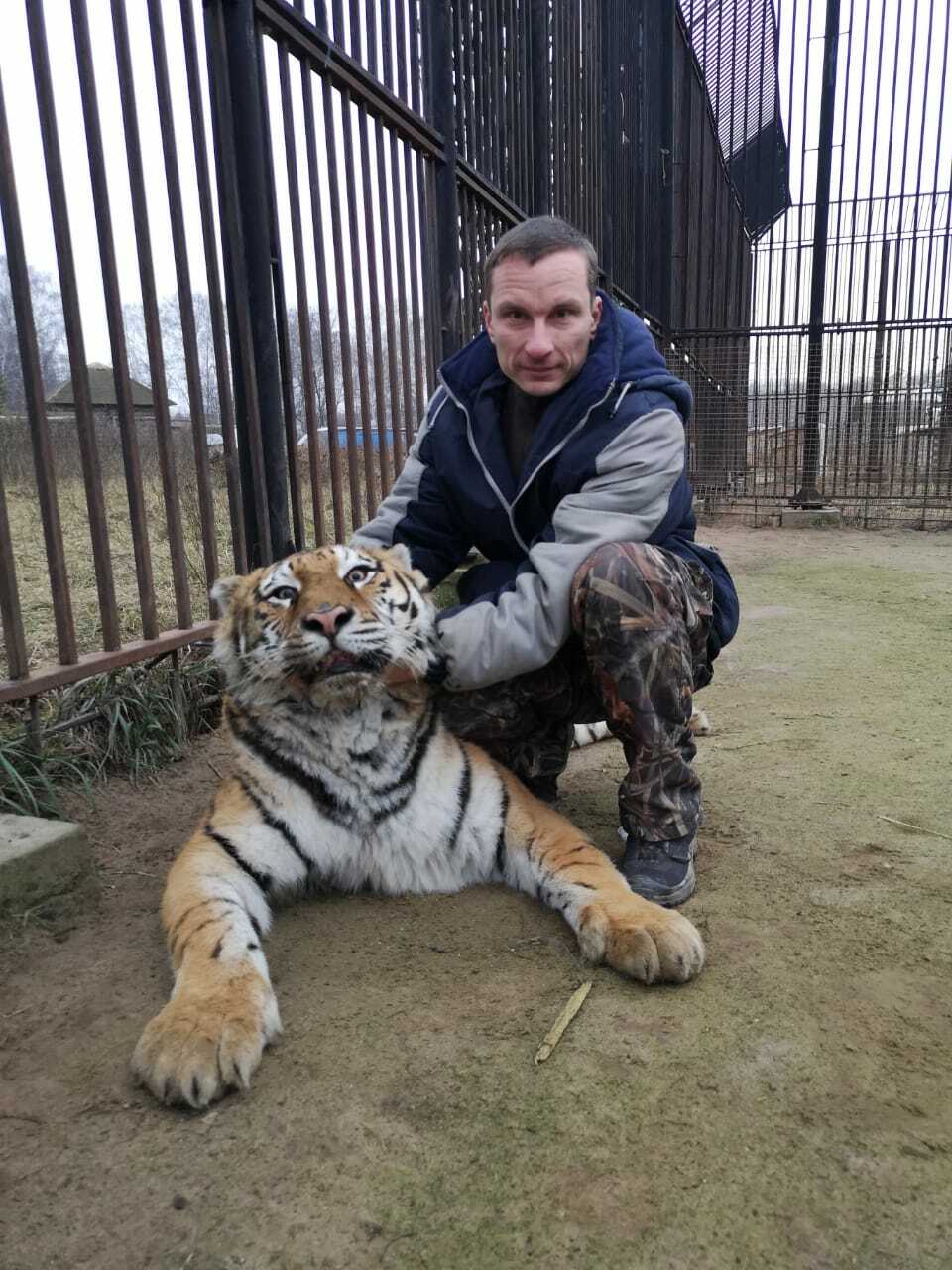 ветеринарный врач артем зверев, артем зверев, ветеринар, помощь с животными