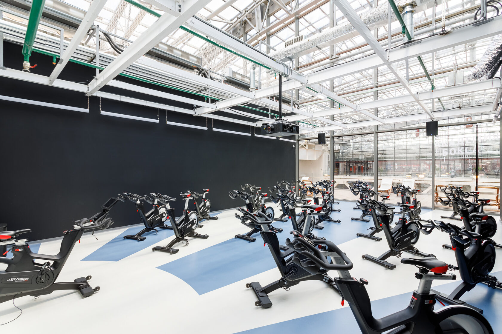 Crocus fitness приложение