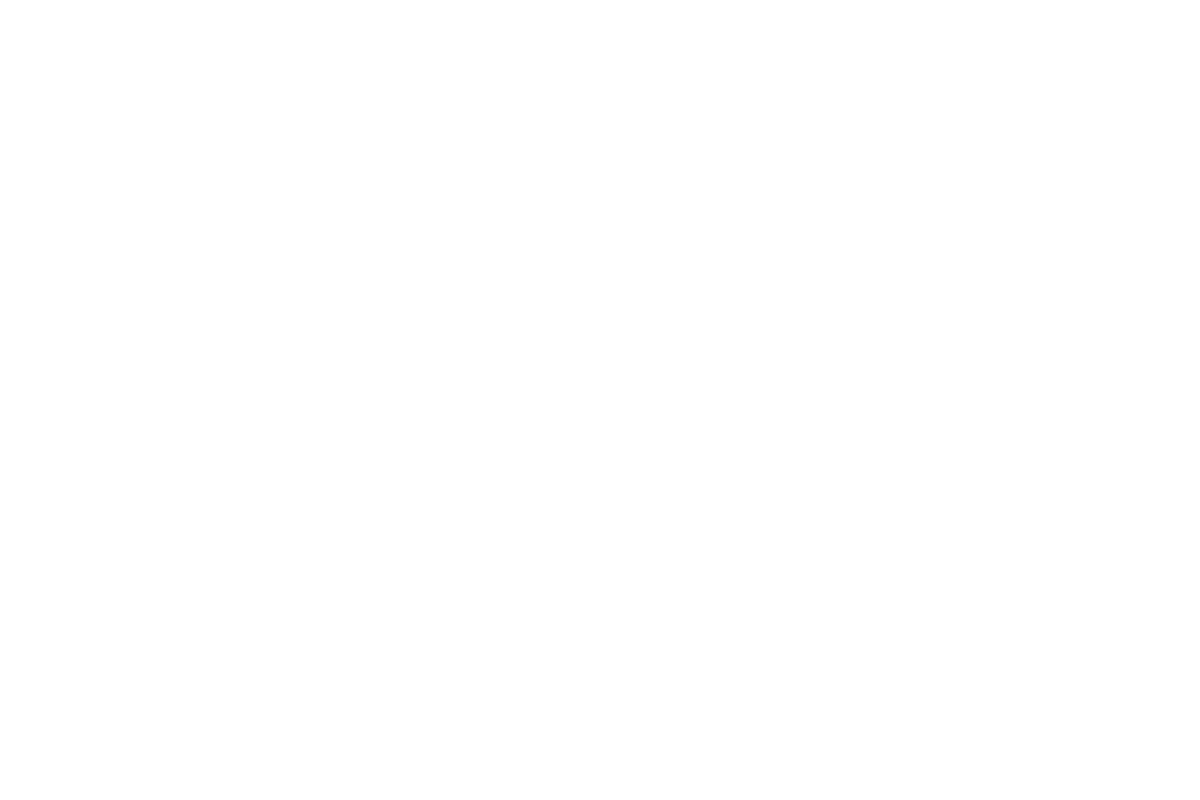 Bertero Art School