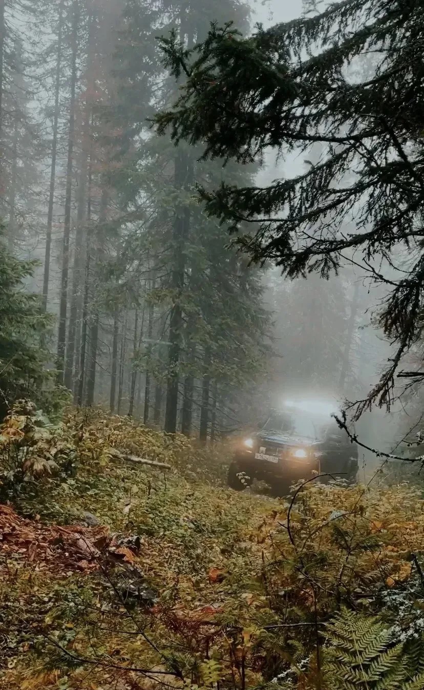 Джип в осеннем туманном лесу