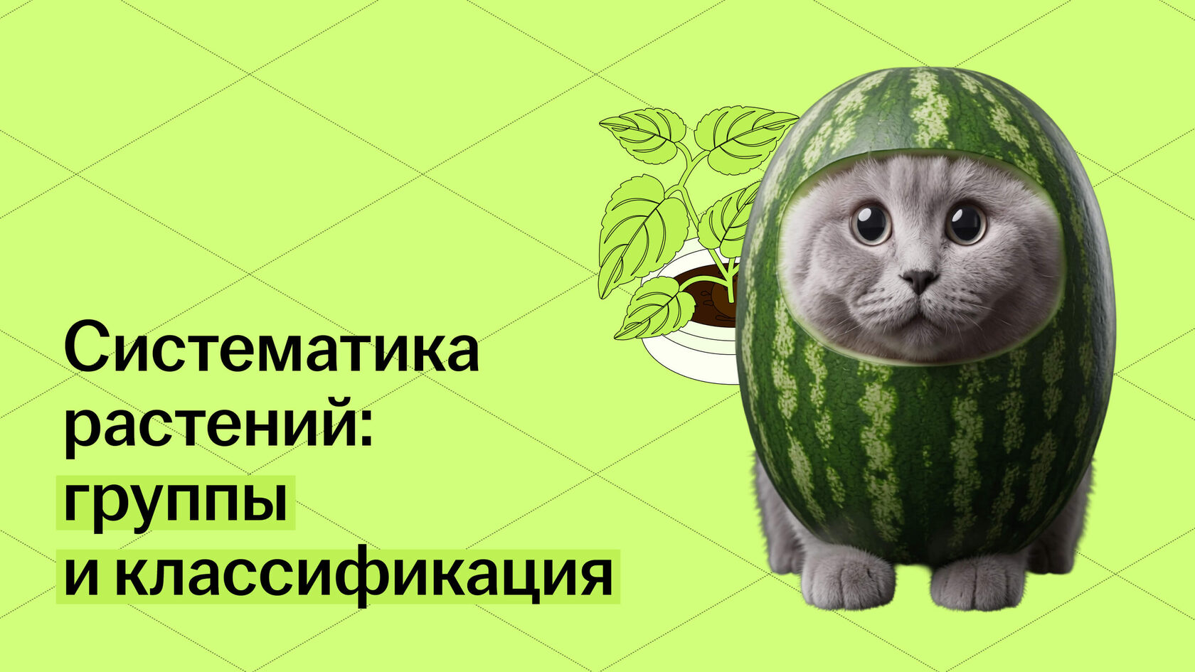 Обложка статьи