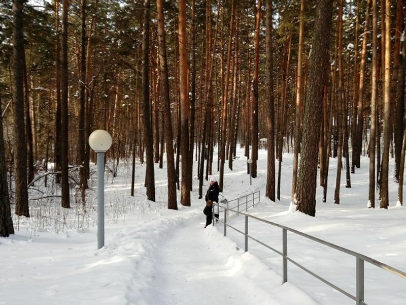 Санатории новосибирск бердск