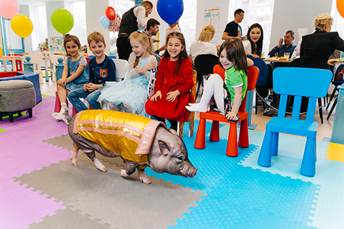 Шоу с животными и птицами