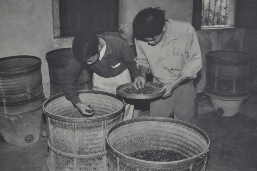 Вы можете подумать, что чайные мастера - это большие эксперты по чаю. Не совсем так. На самом деле они великолепно разбираются в своем собственном чае, который обрабатывают всю жизнь. Но совсем не понимают в чаях из других провинций. (Это фото я переснял в музее чая г. Аньси. Это 1965 год).