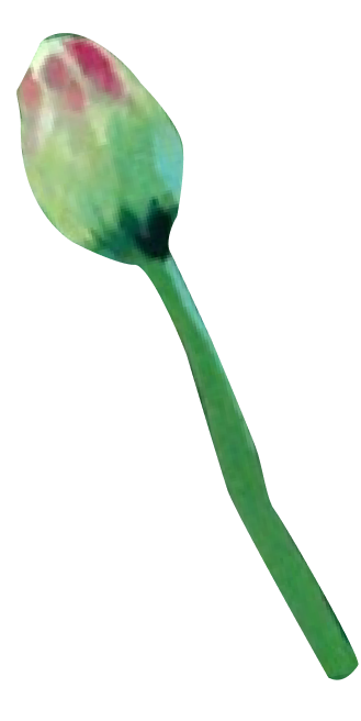 a pink bud on a stem
