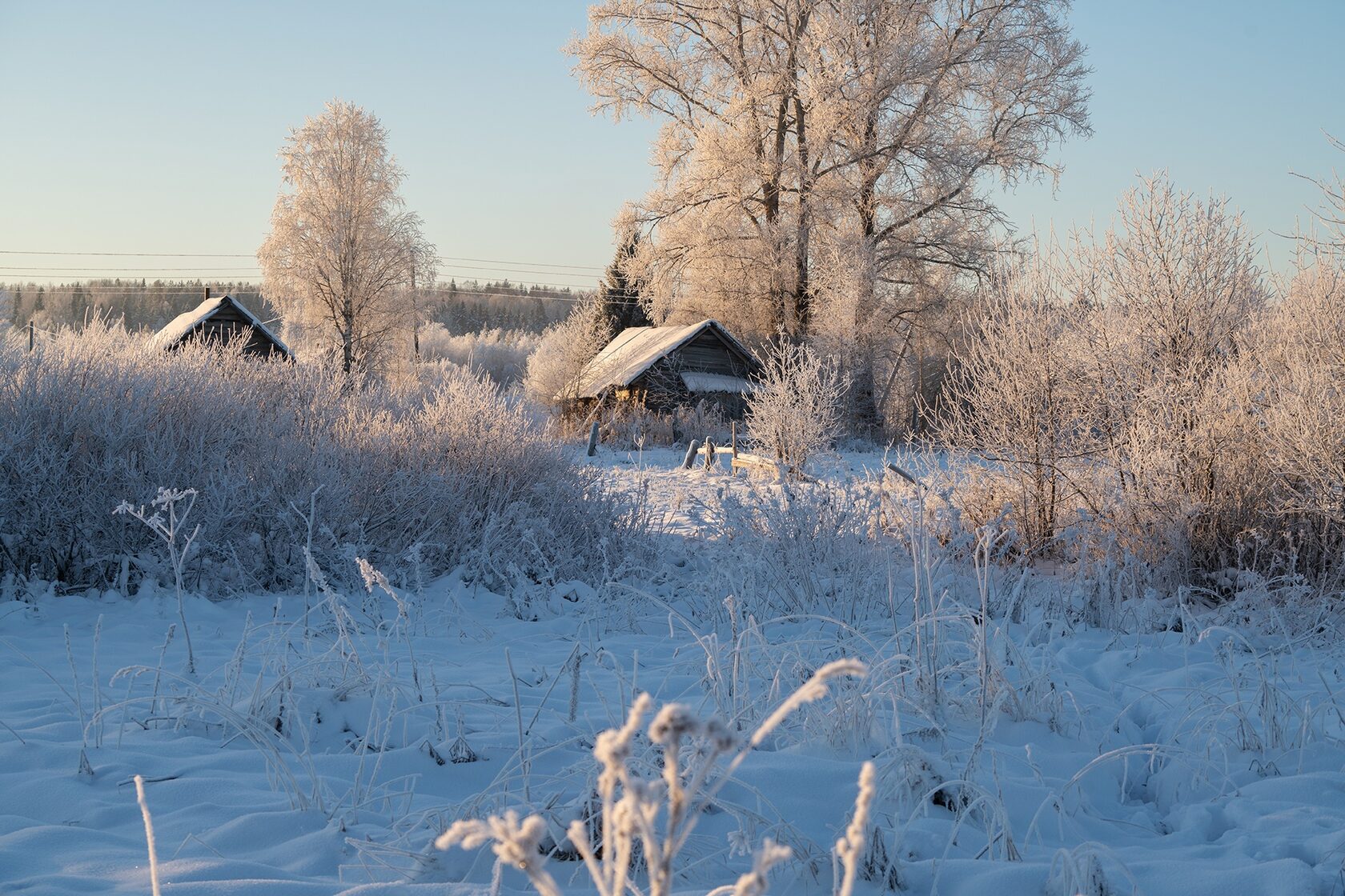 Деревня 30. Ели деревня.