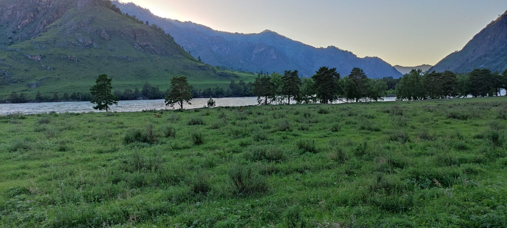 Altay Riverside — эко-поселок в Республике Алтай