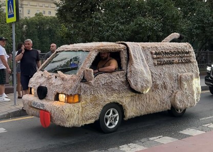 Сеть груминг салонов 