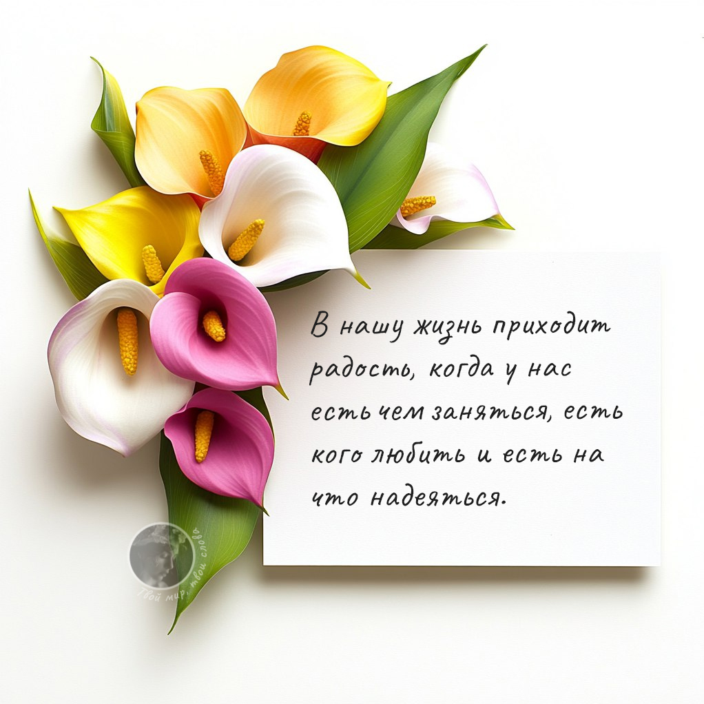 Цитата 395 из 16278
