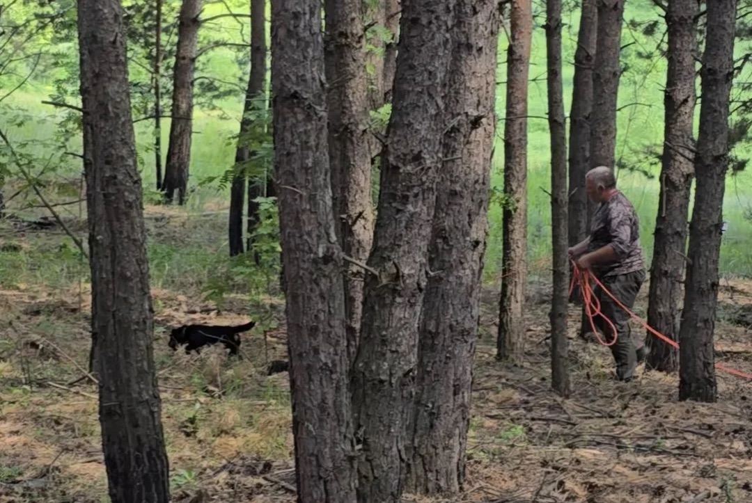Акбеон Танк на испытаниях по кровяному следу.