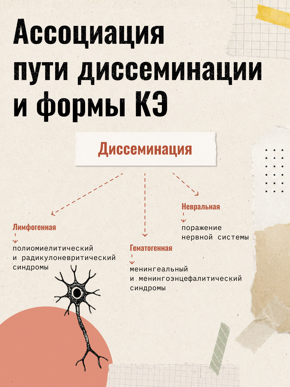 Карточка 6