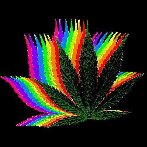 Купить марихуану на патонге что можно найти на тор браузер hydra
