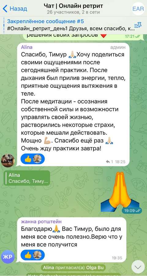 Скриншот переписки: Алина и Жанна, онлайн-ретрит