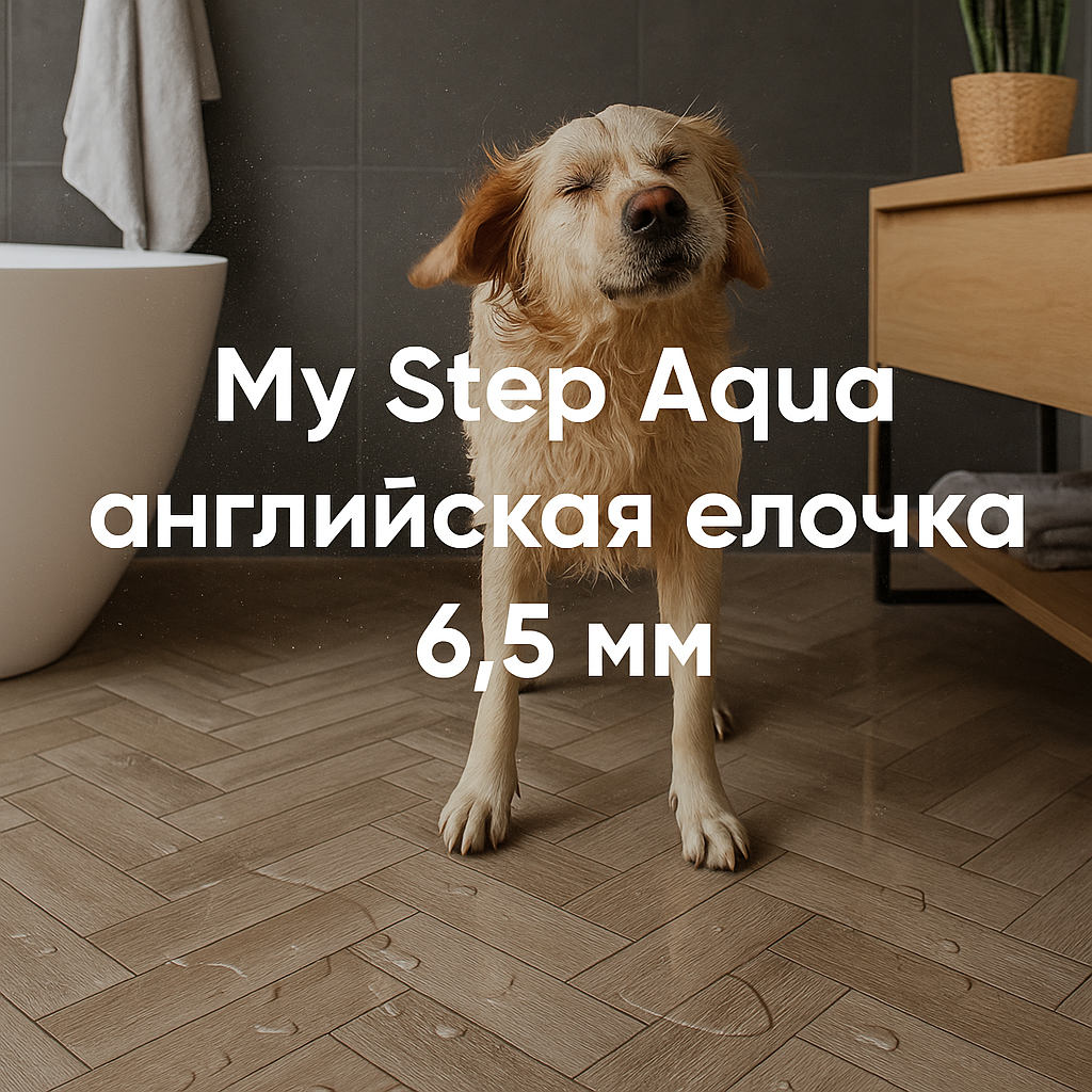 My Step Aqua