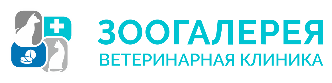 Ветеринарная клиника Зоогалерея