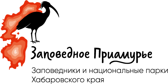 Заповедное приамурье. Болоньский заповедник эмблема. ФГБУ Заповедное Приамурье Хабаровск. Комсомольский заповедник эмблема.
