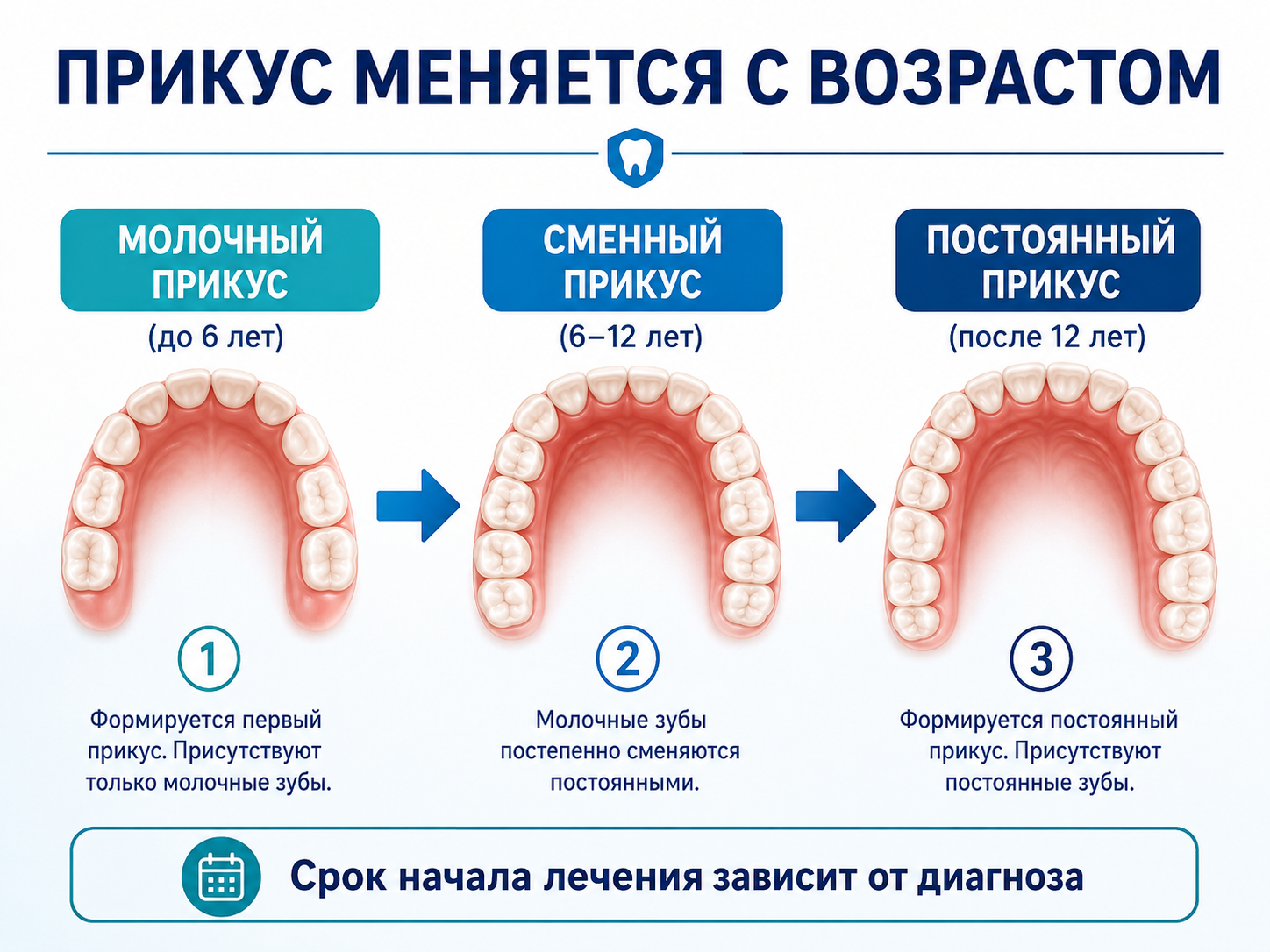 в каком возрасте исправлять прикус ребенку — молочный сменный постоянный прикус