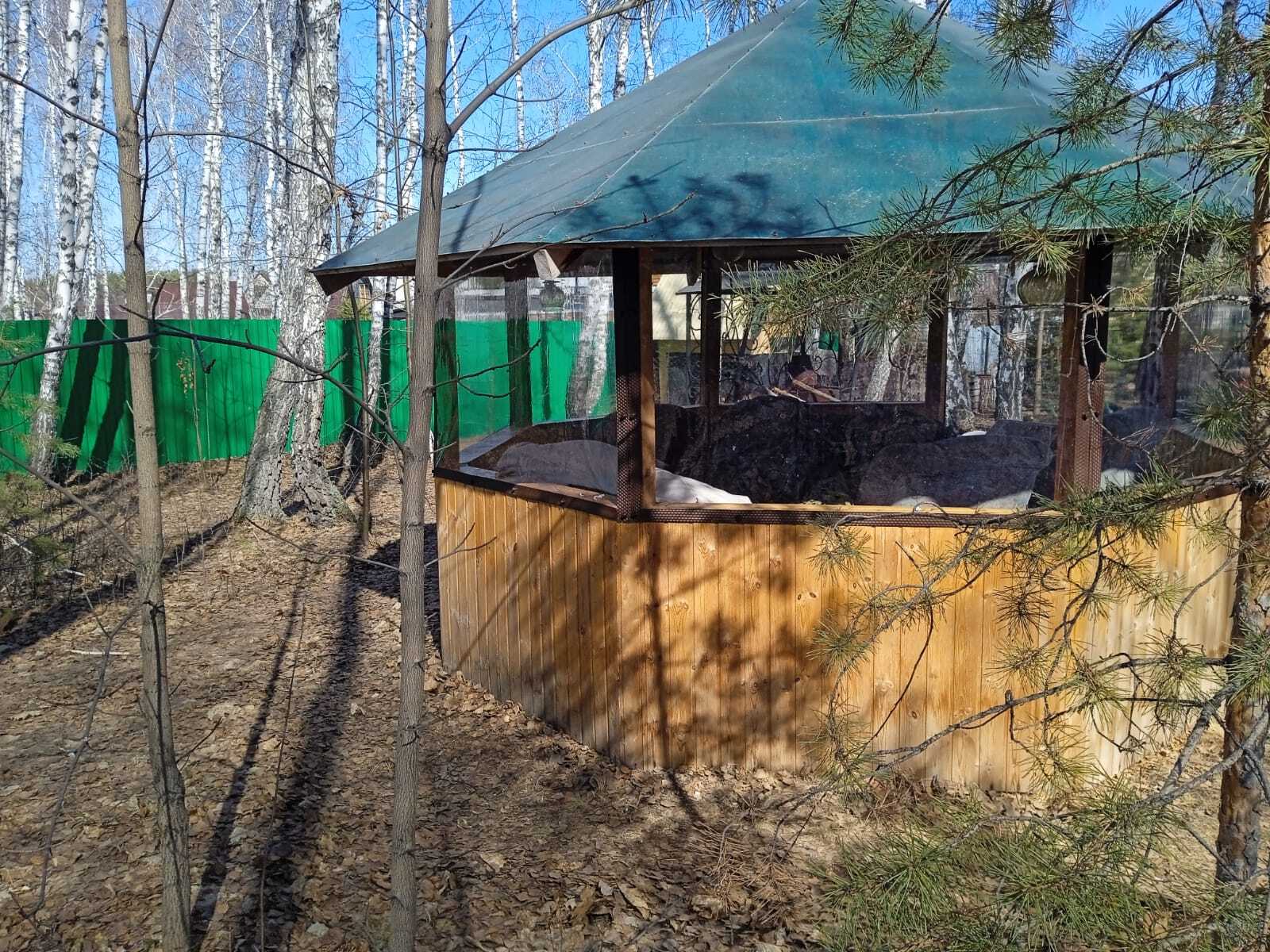 Саргазы