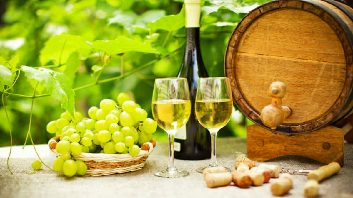 Vineyard Events Near Me Barcelona to Penedes | Casamiga Events