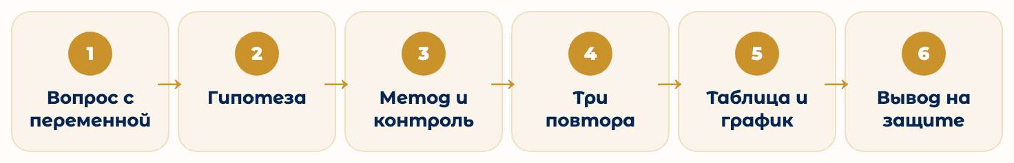 Шесть шагов проекта