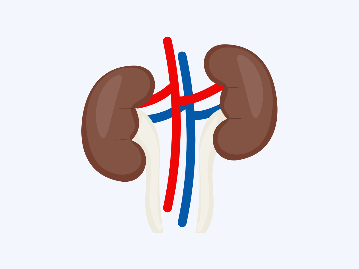 Заболевания мочевыделительной системы