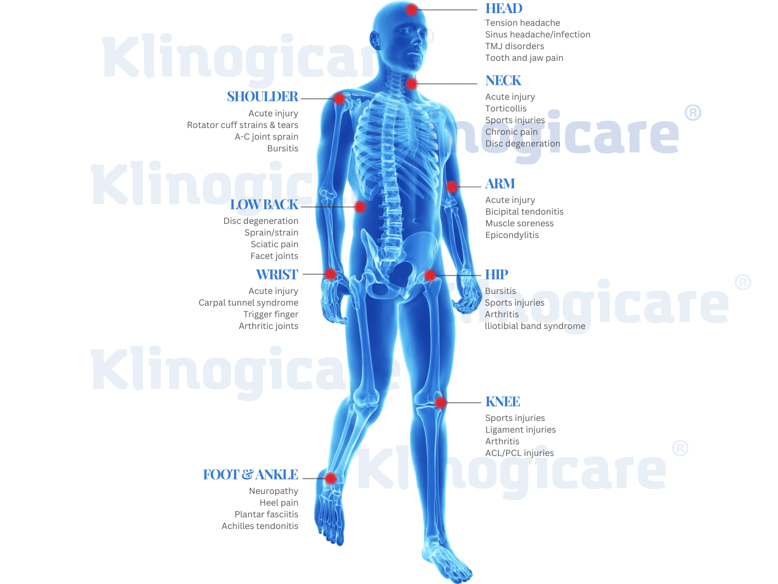 HILT Anatomical Atlas